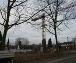 Bild 1 - Januar
