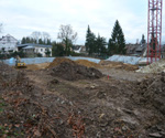 Bild 1 - Januar