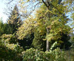 Bild 1 - Januar